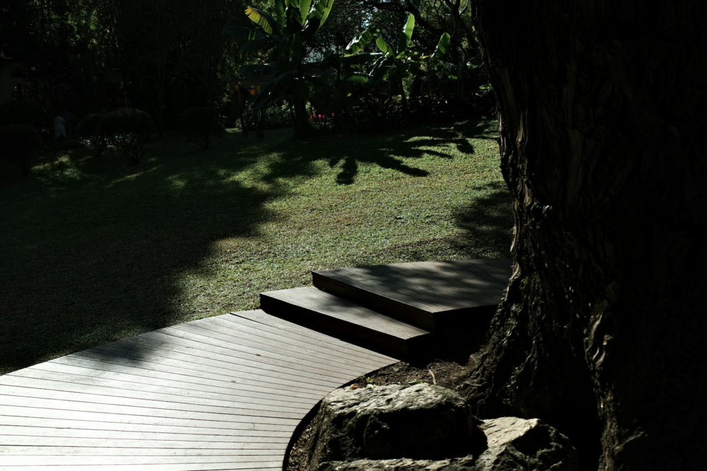 Wood deck and steps leading to a grassy backyard. Photo by Rancy Tan on Unsplash.